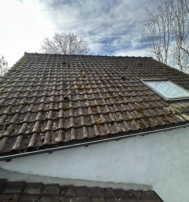 couvreur villiers saint frederic couvreur 78640 nettoyage toiture 78 3