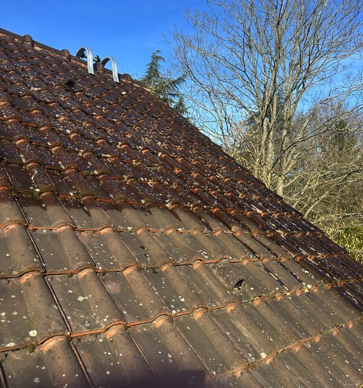 couvreur villiers saint frederic couvreur 78640 nettoyage toiture 78 4