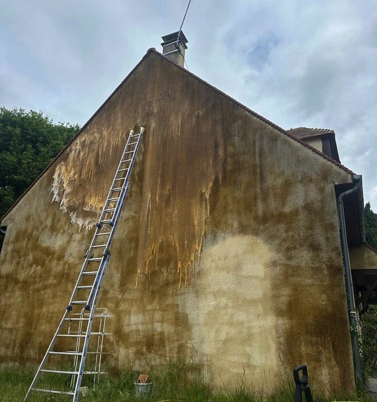 couvreur villiers saint frederic traitement toiture 78640 10