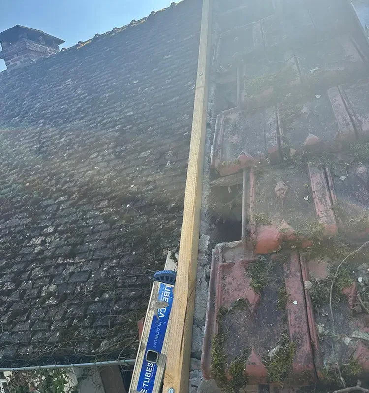 reparation rive toiture plaisir 7