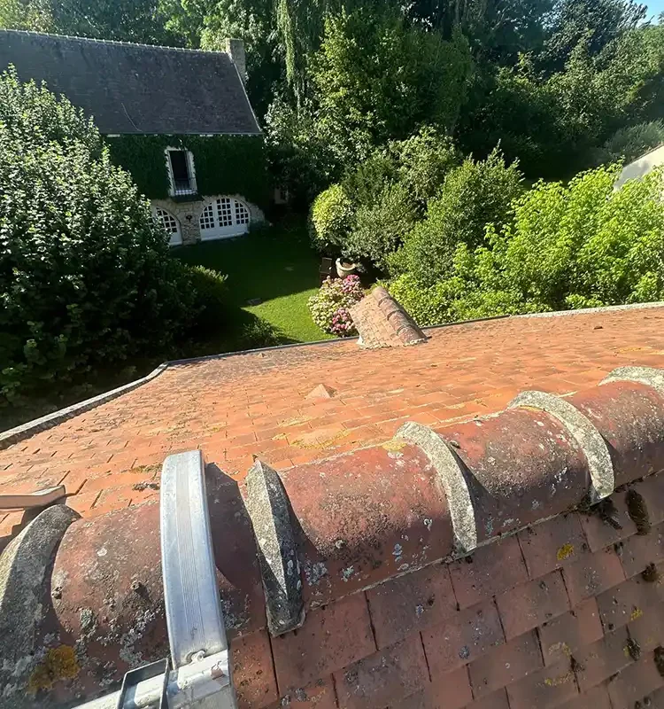 traitement toiture marcq 78