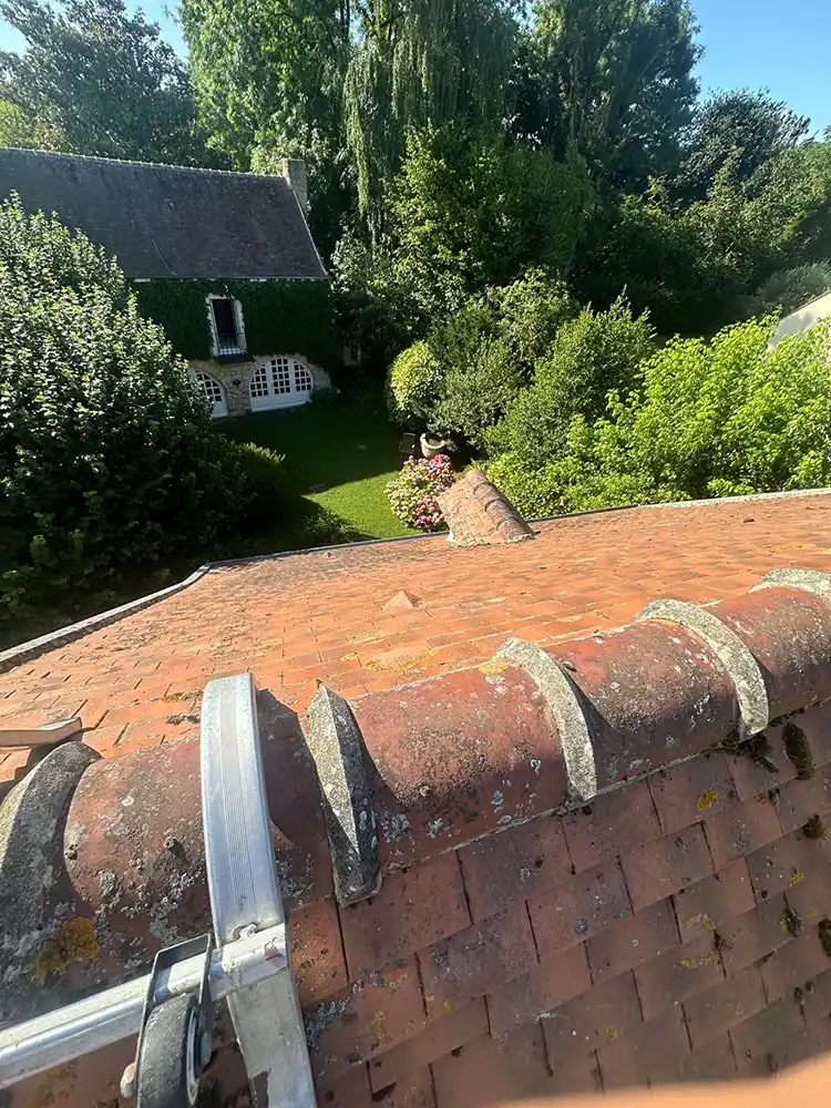 traitement toiture marcq 78