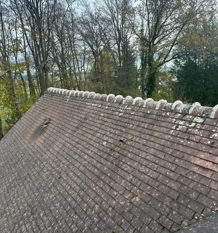 Remplacement faîtage et traitement anti a Saint-Germain-de-la-Grange 78640 - en cours