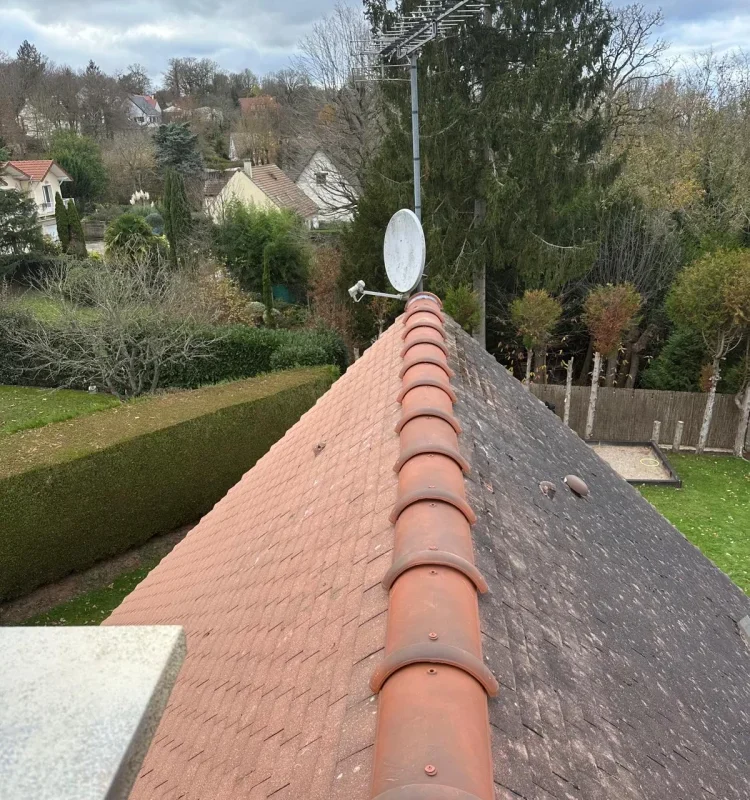 Remplacement faîtage et traitement anti Saint-Germain-de-la-Grange 78640 - finitions