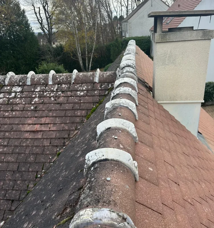 Remplacement faîtage et traitement anti Saint-Germain-de-la-Grange 78640 - photo 8